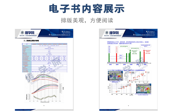 東風(fēng)DC11發(fā)動(dòng)機(jī)構(gòu)造及技術(shù)特點(diǎn)內(nèi)容展示