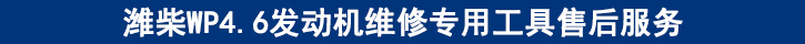 濰柴WP4.6發(fā)動機維修專用工具售后服務.jpg